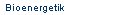 Bioenergetik
