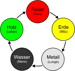 Wandlungsphasen der 5 Elemente